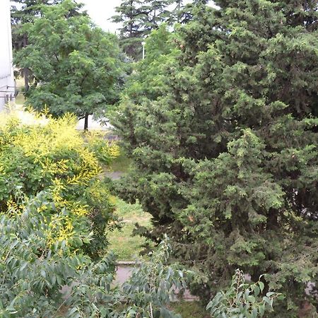 Good Vibes Apartment 扎达尔 外观 照片