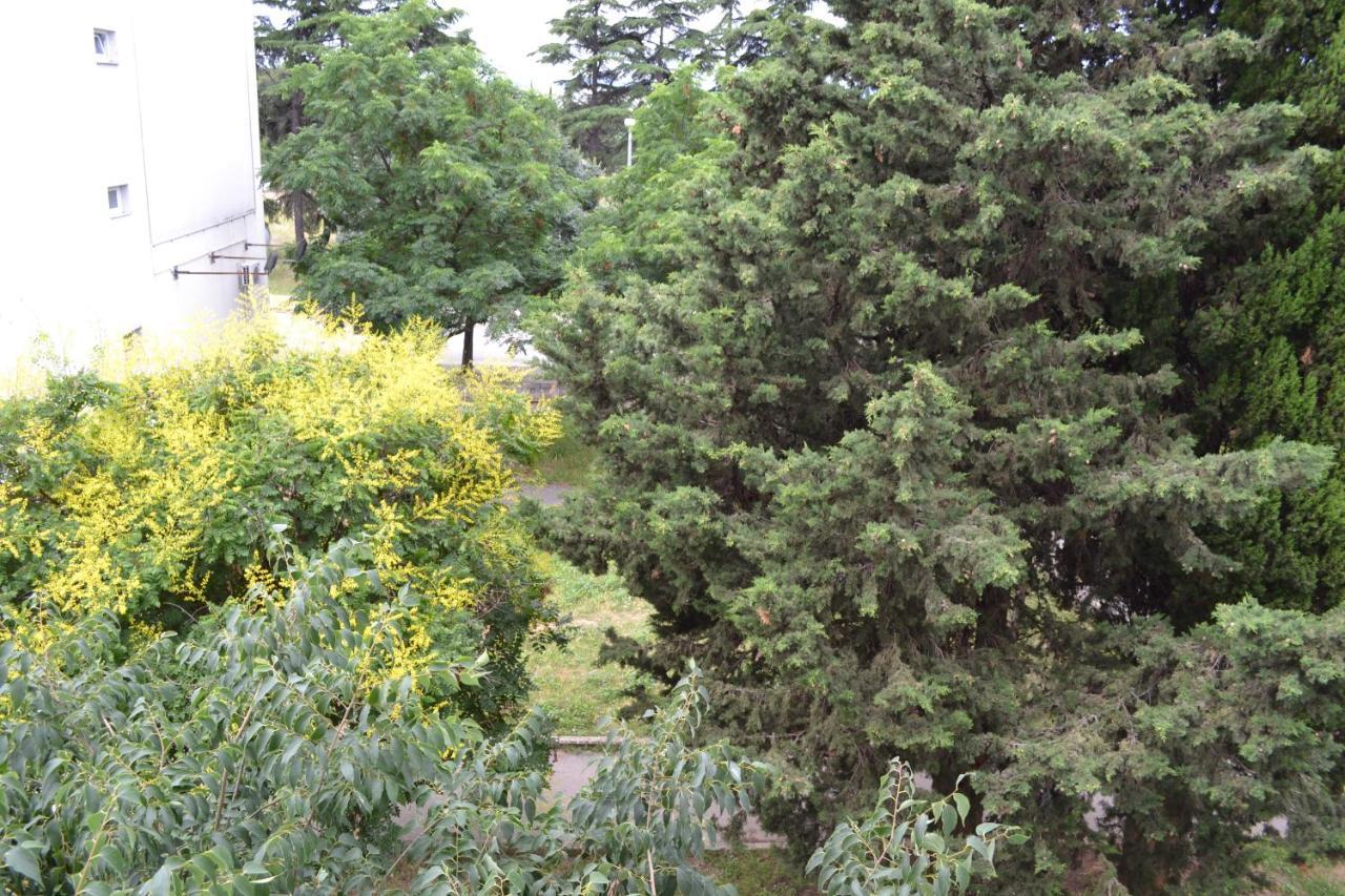 Good Vibes Apartment 扎达尔 外观 照片